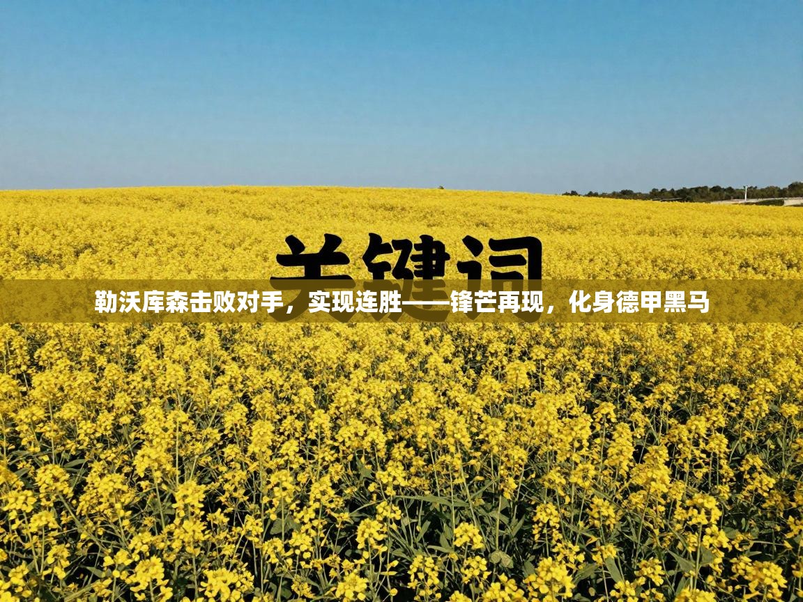 勒沃库森击败对手，实现连胜——锋芒再现，化身德甲黑马  第2张