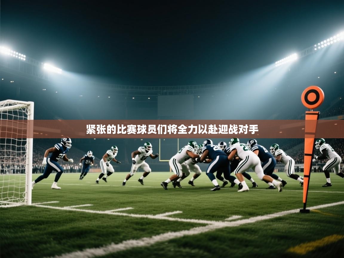 紧张的比赛球员们将全力以赴迎战对手 第2张