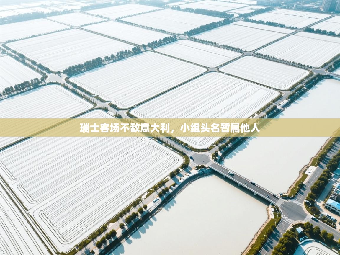 瑞士客场不敌意大利，小组头名暂属他人  第2张