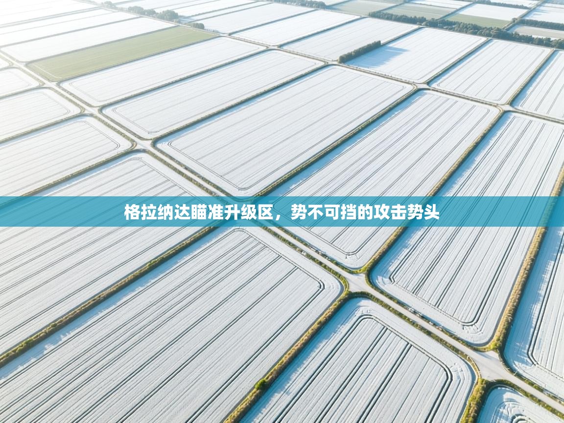 格拉纳达瞄准升级区，势不可挡的攻击势头  第1张