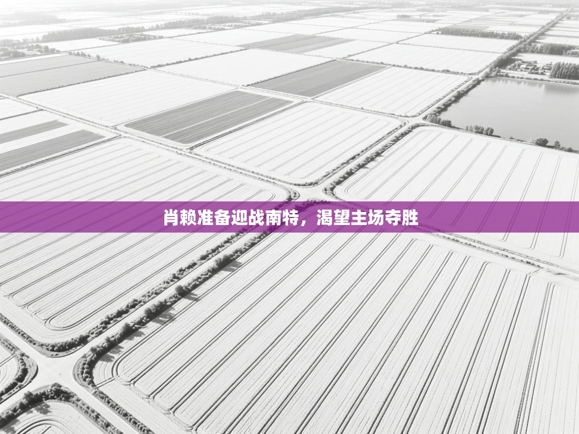 肖赖准备迎战南特，渴望主场夺胜  第1张